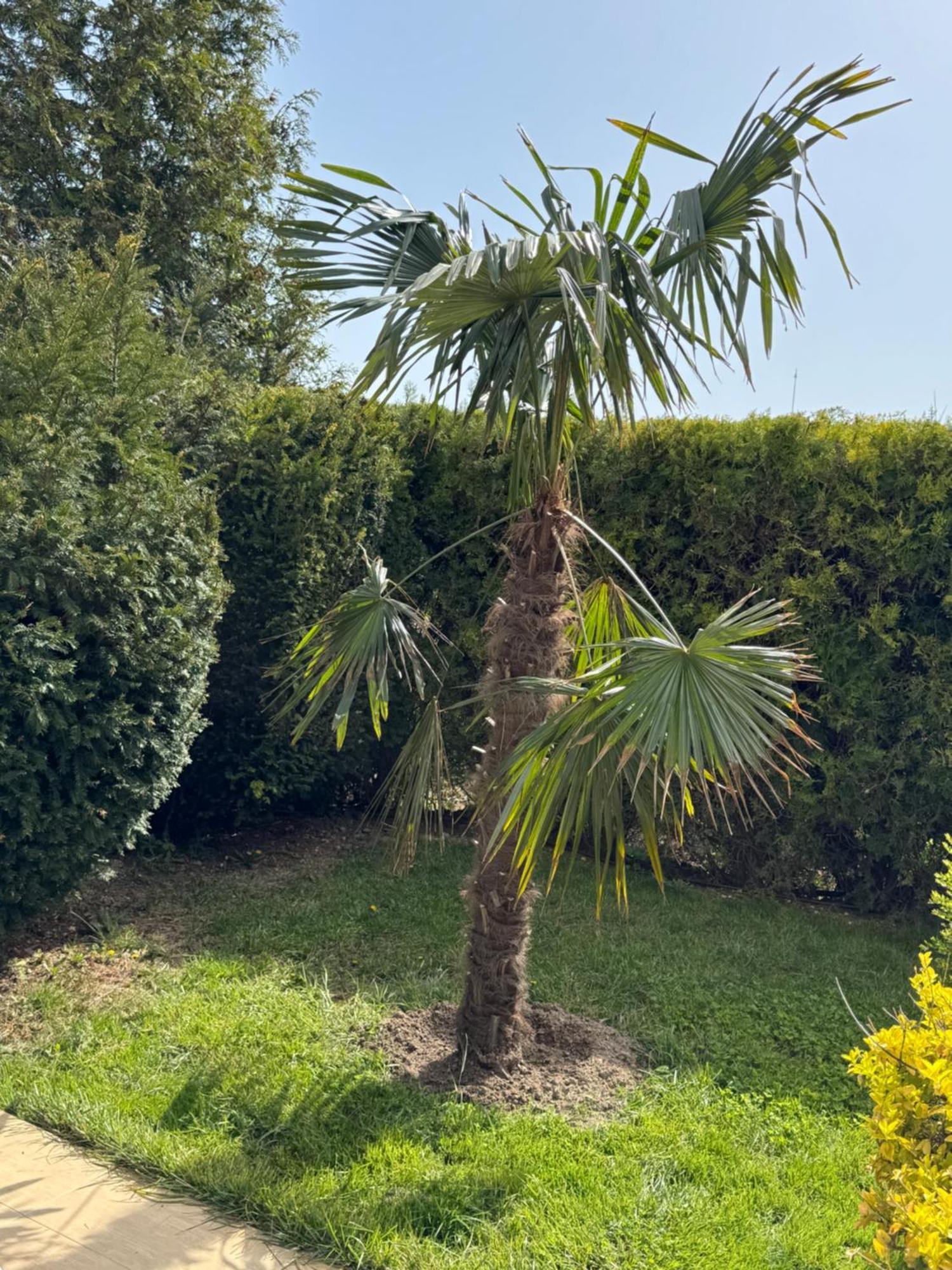 בלצ'יק Villa Holiday מראה חיצוני תמונה