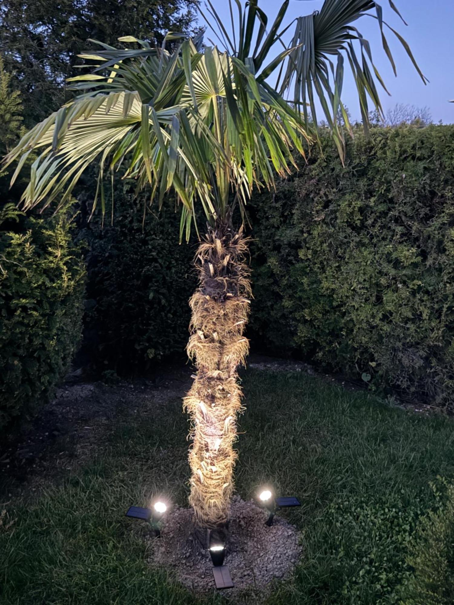 בלצ'יק Villa Holiday מראה חיצוני תמונה